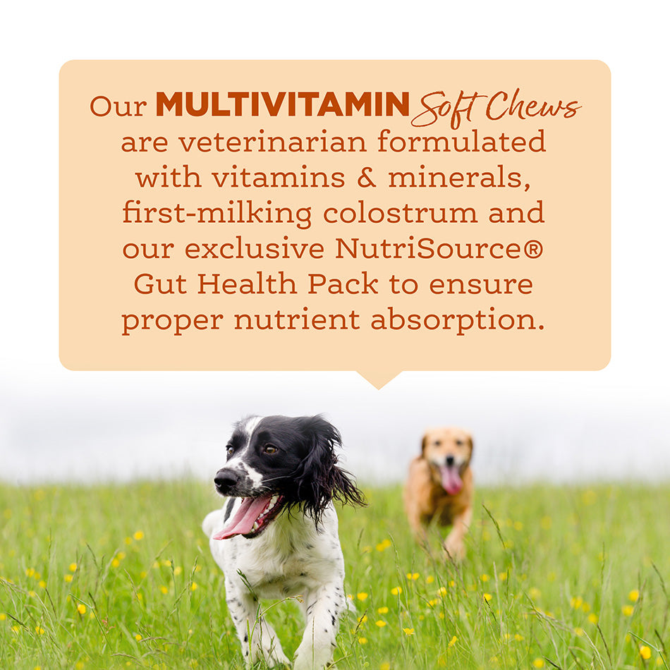 Nutrisource AmpliFull Multivitamin Dog Soft Chew Supplement