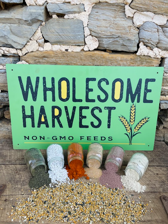 Wholesome Harvest All Flock Feed - A Perfect Feed for Hens, Ducks, and other fowl