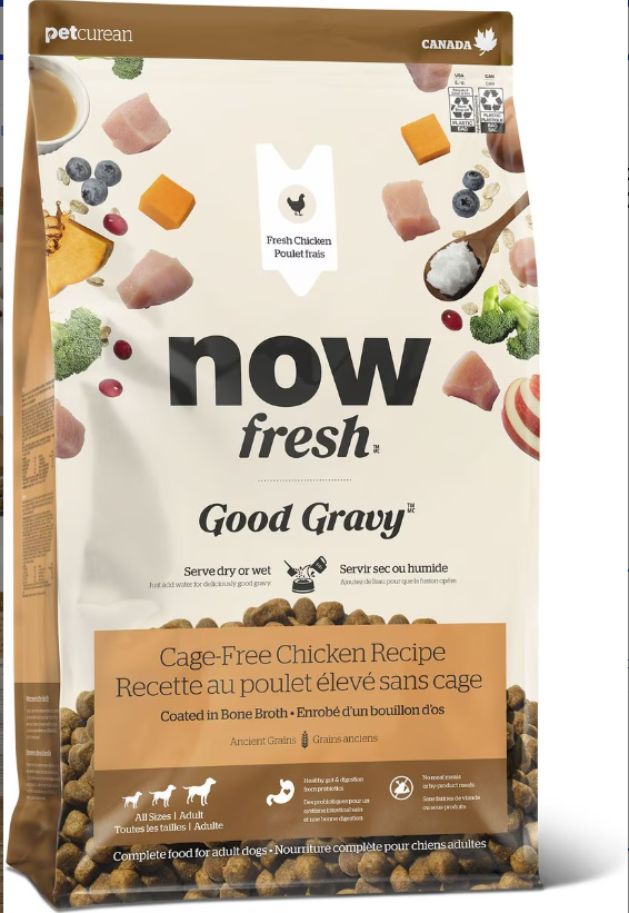 Now Fresh Good Gravy Adult Chicken Recipe with Ancient Grains For Dogs