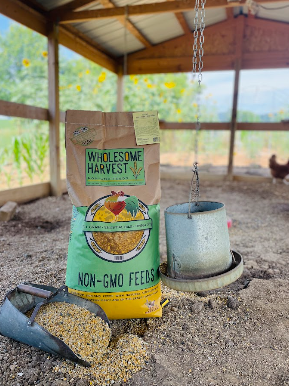 Wholesome Harvest All Flock Feed - A Perfect Feed for Hens, Ducks, and other fowl