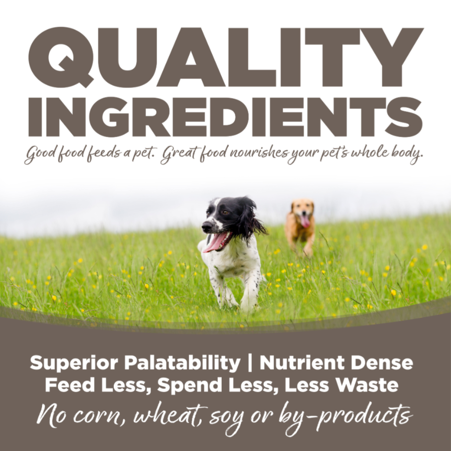 Nutrisource Senior Chicken and Rice Dry Dog Food