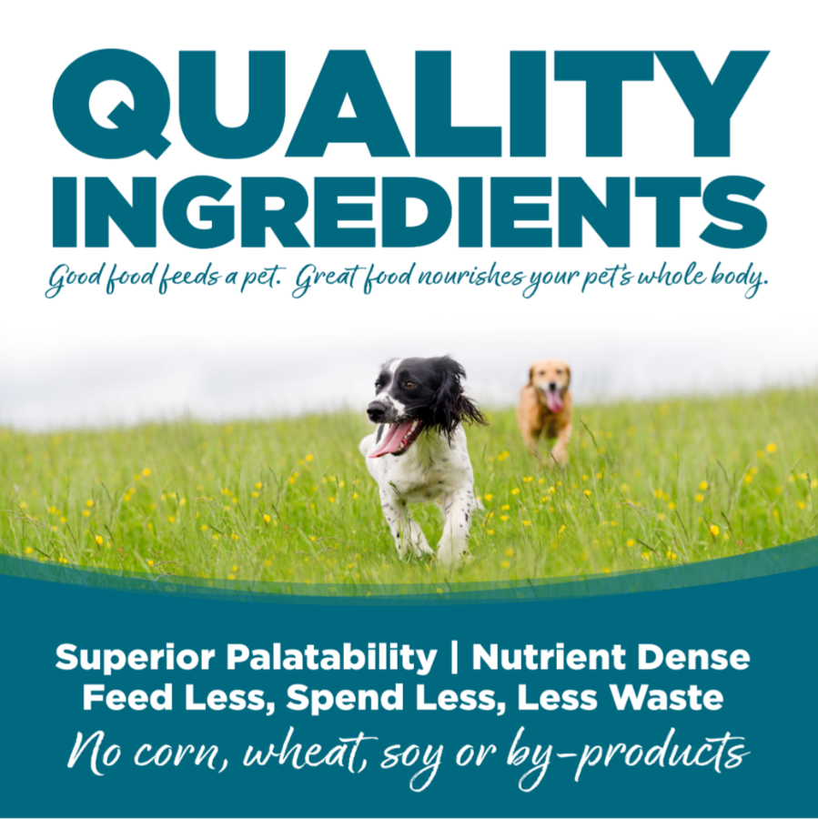 Nutrisource Adult Chicken and Rice Small Bites Dry Dog Food