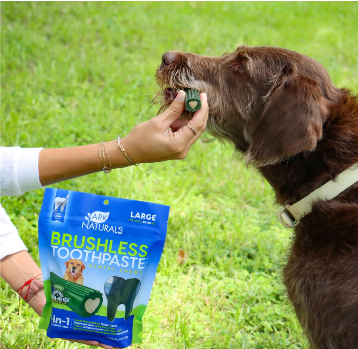 Ark Naturals Breathless Brushless Toothpaste