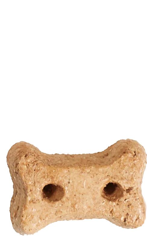 Old Mother Hubbard Classic Extra Tasty P-Nuttier Dog Treats